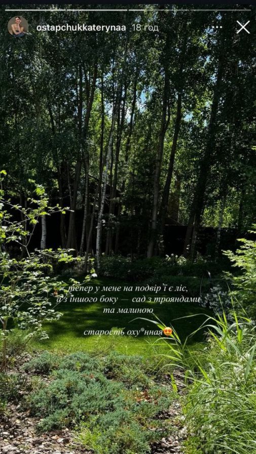 3817_ks.jpg (146.93 Kb)